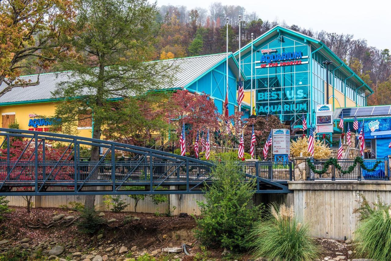 Huckleberry Ridge Βίλα Pigeon Forge Εξωτερικό φωτογραφία